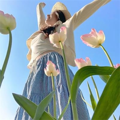 全职高手第三季