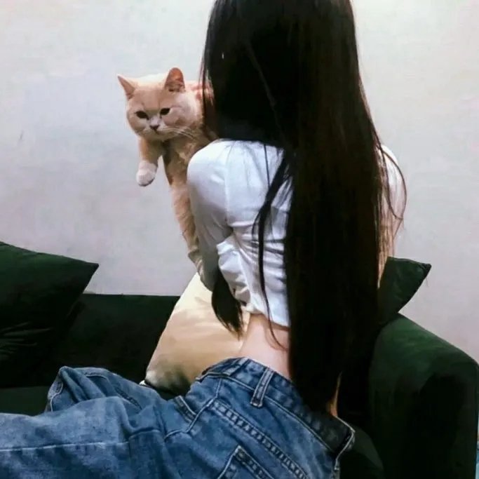 自由协议